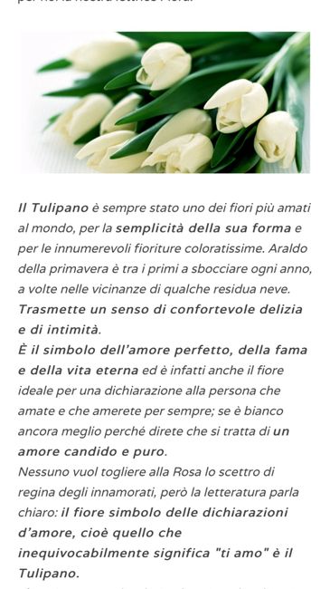  Bouquet sposa - 1