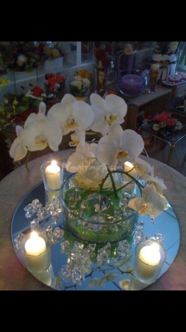  Tema Orchidee - 3