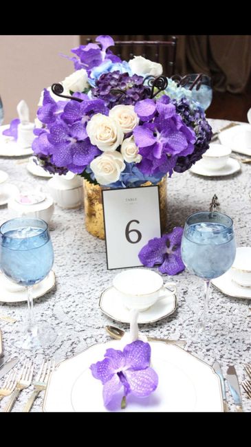  Tema Orchidee - 6