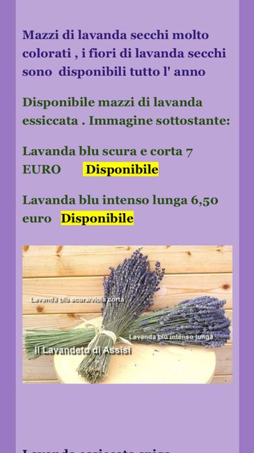  Sos cercasi Lavanda - 1