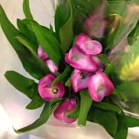 I nostri fiori...