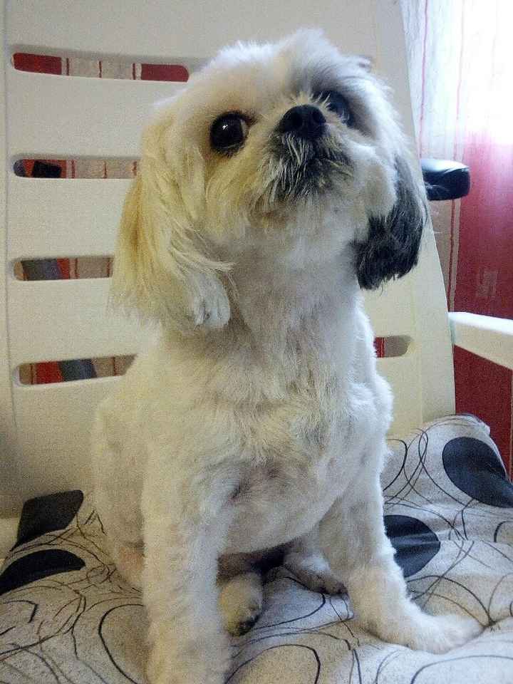 Vi presento... - 1