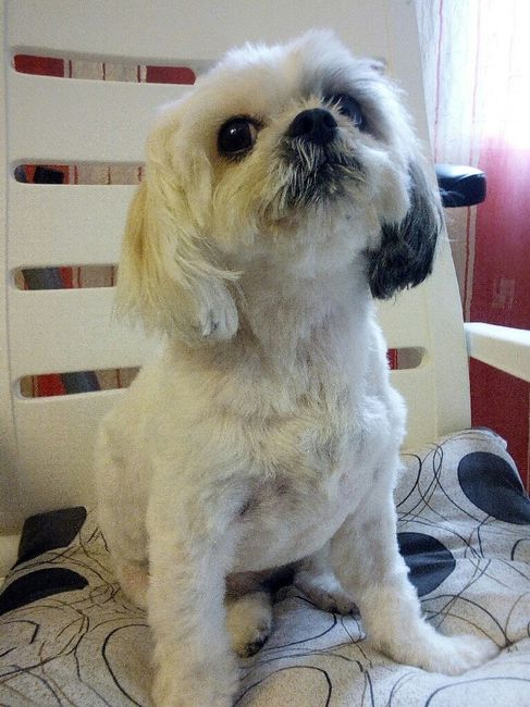 Vi presento... - 1