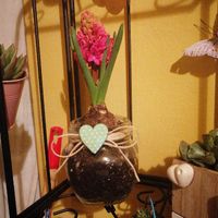 Consigliatemi la bomboniera che vi piace di più!! - 1