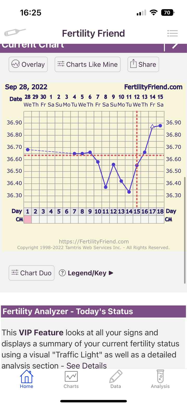 Temperatura basale per ricerca cicogna 🤞🏻 - 1