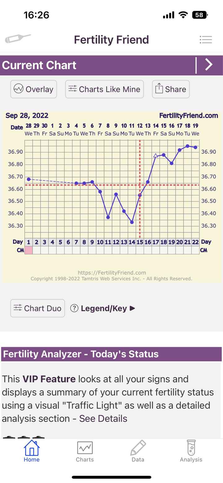 Temperatura basale per ricerca cicogna 🤞🏻 - 1