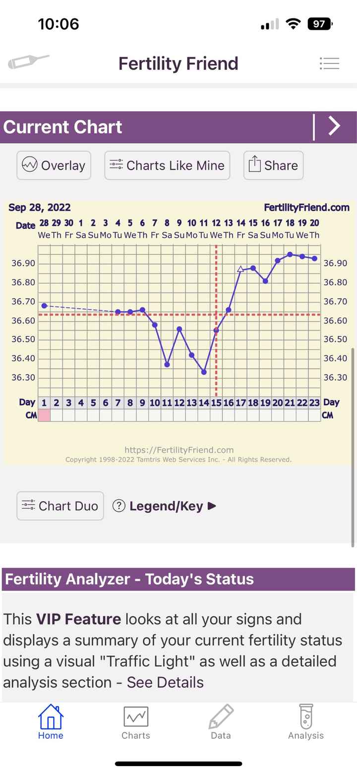 Temperatura basale per ricerca cicogna 🤞🏻 - 1