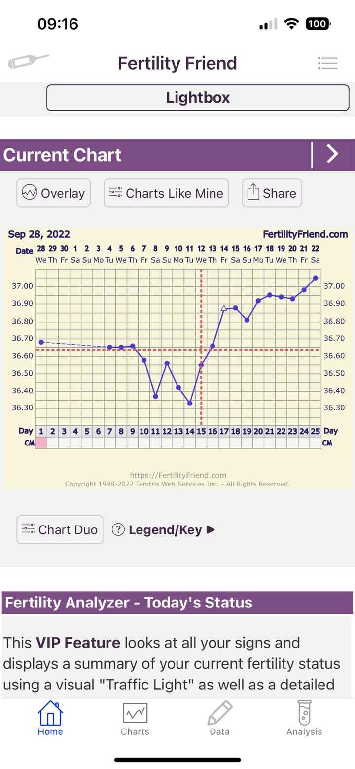 Temperatura basale per ricerca cicogna 🤞🏻 - 1