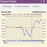 Temperatura basale per ricerca cicogna 🤞🏻 - 1