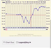 Temperatura basale per ricerca cicogna 🤞🏻 - 1