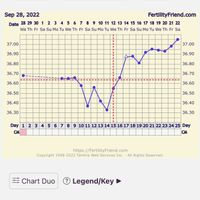 Temperatura basale per ricerca cicogna 🤞🏻 - 1