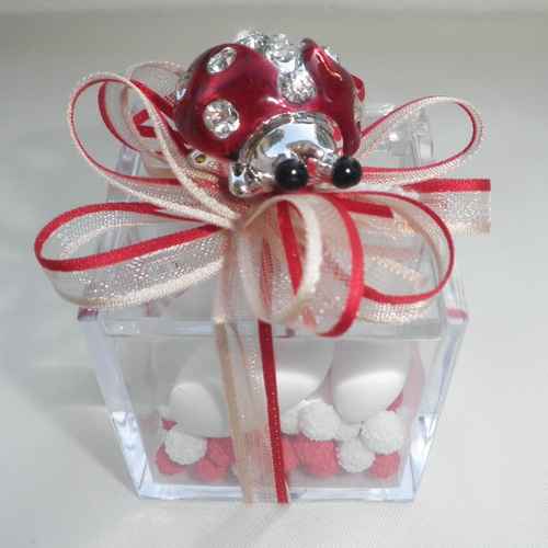 Confezione bomboniera "pianta grassa"