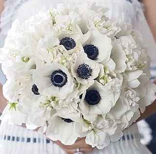 Matrimonio B&W work in progress!! - 3