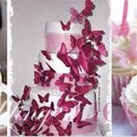 Farfalle sempre farfalle - 8