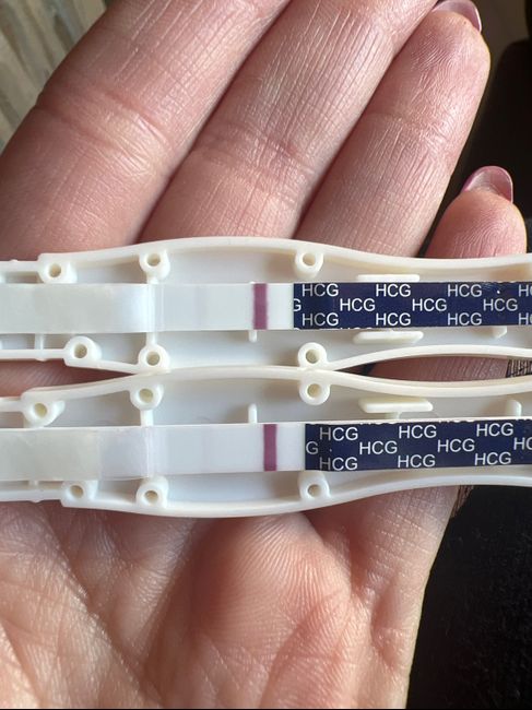 Chi non le aspetta per marzo 2023🍀 - 1