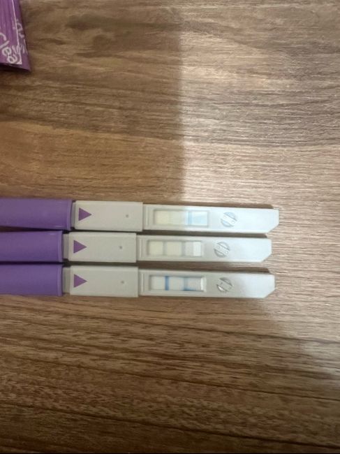 Sfogo da ricerca gravidanza - 1