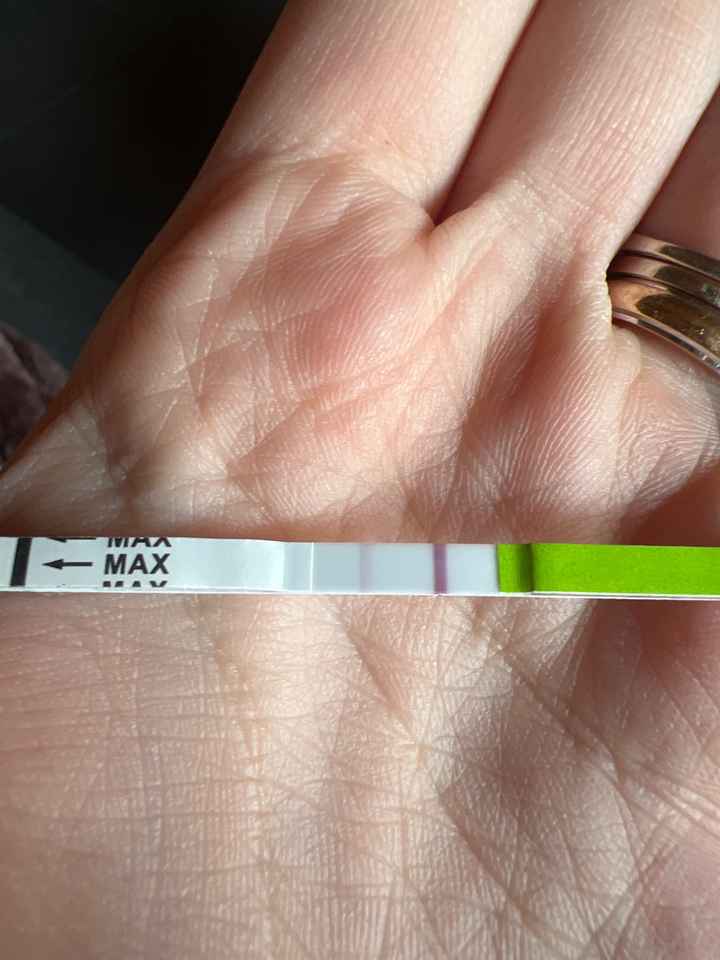 Chi non le aspetta per marzo 2023🍀 - 1