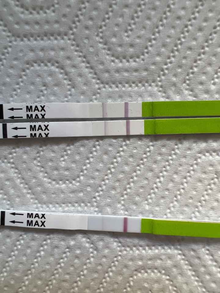 Chi non le aspetta per marzo 2023🍀 - 1