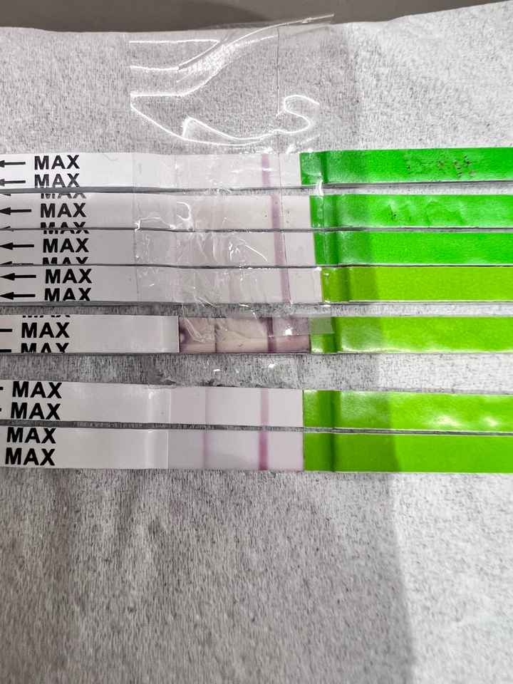 Chi non le aspetta per novembre 2023 🌰🍂🤎 - 1