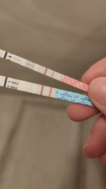 Chi non le aspetta per Dicembre 2024 🎄🍀♥️ - 1