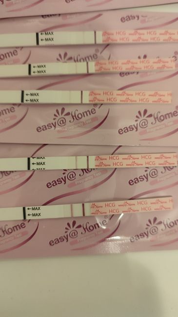 Chi non le aspetta per Dicembre 2024 🎄🍀♥️ - 1