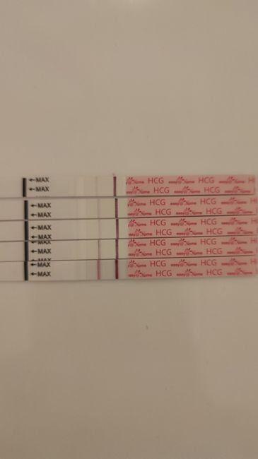 Chi non le aspetta per Dicembre 2024 🎄🍀♥️ - 2