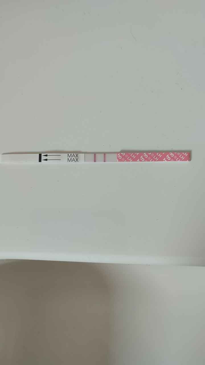 Per chi non le aspetta ottobre, novembre e dicembre 2024🍀🐞 - 1