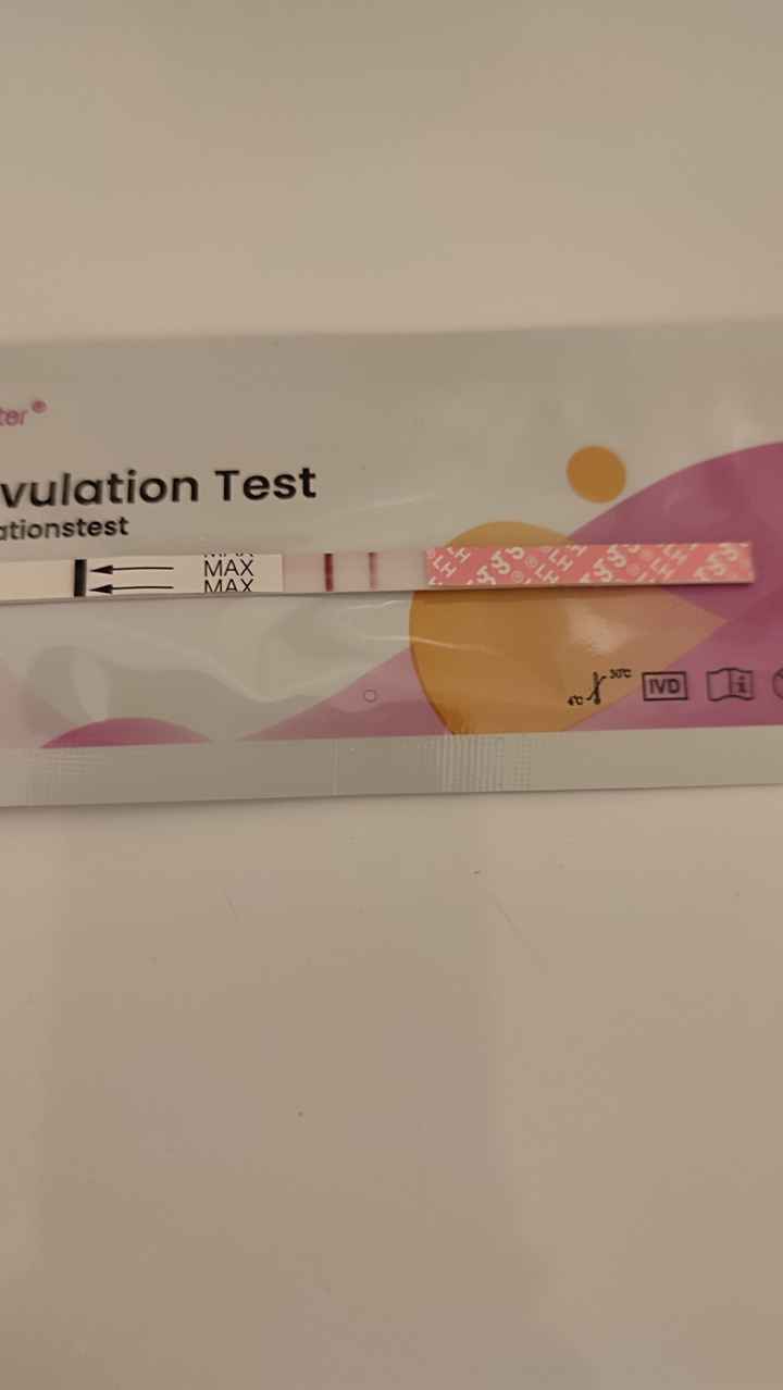 Per chi non le aspetta ottobre, novembre e dicembre 2024🍀🐞 - 2