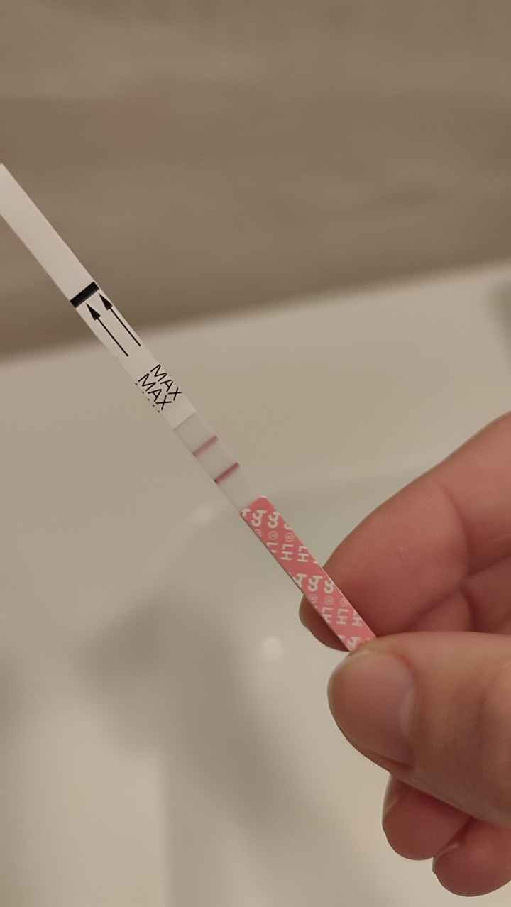 Per chi non le aspetta ottobre e novembre 🍀🐞 - 1