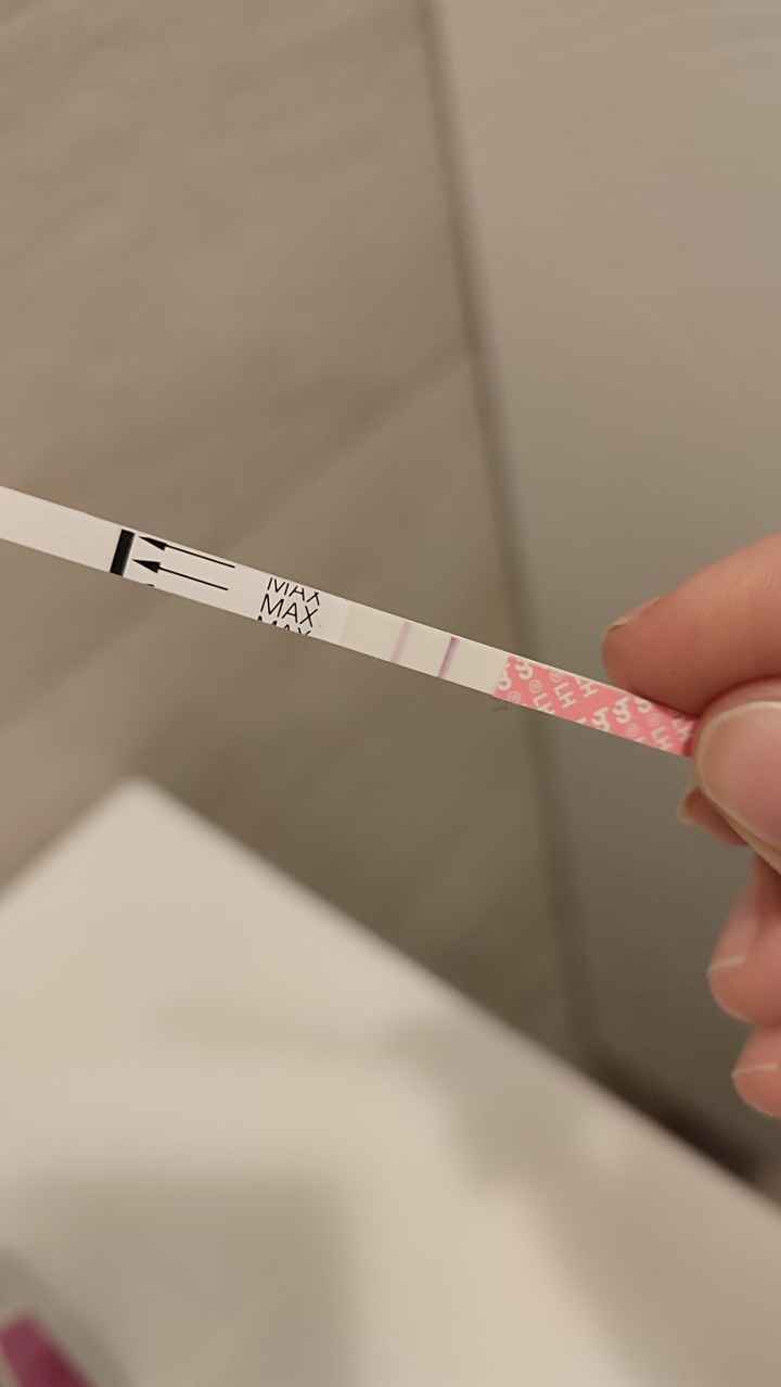 Chi non le aspetta per Dicembre 2024 🎄🍀♥️ - 1