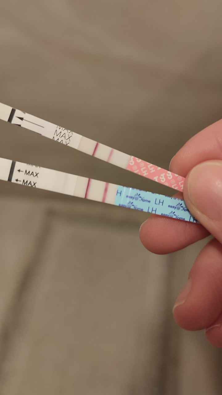 Chi non le aspetta per Dicembre 2024 🎄🍀♥️ - 1