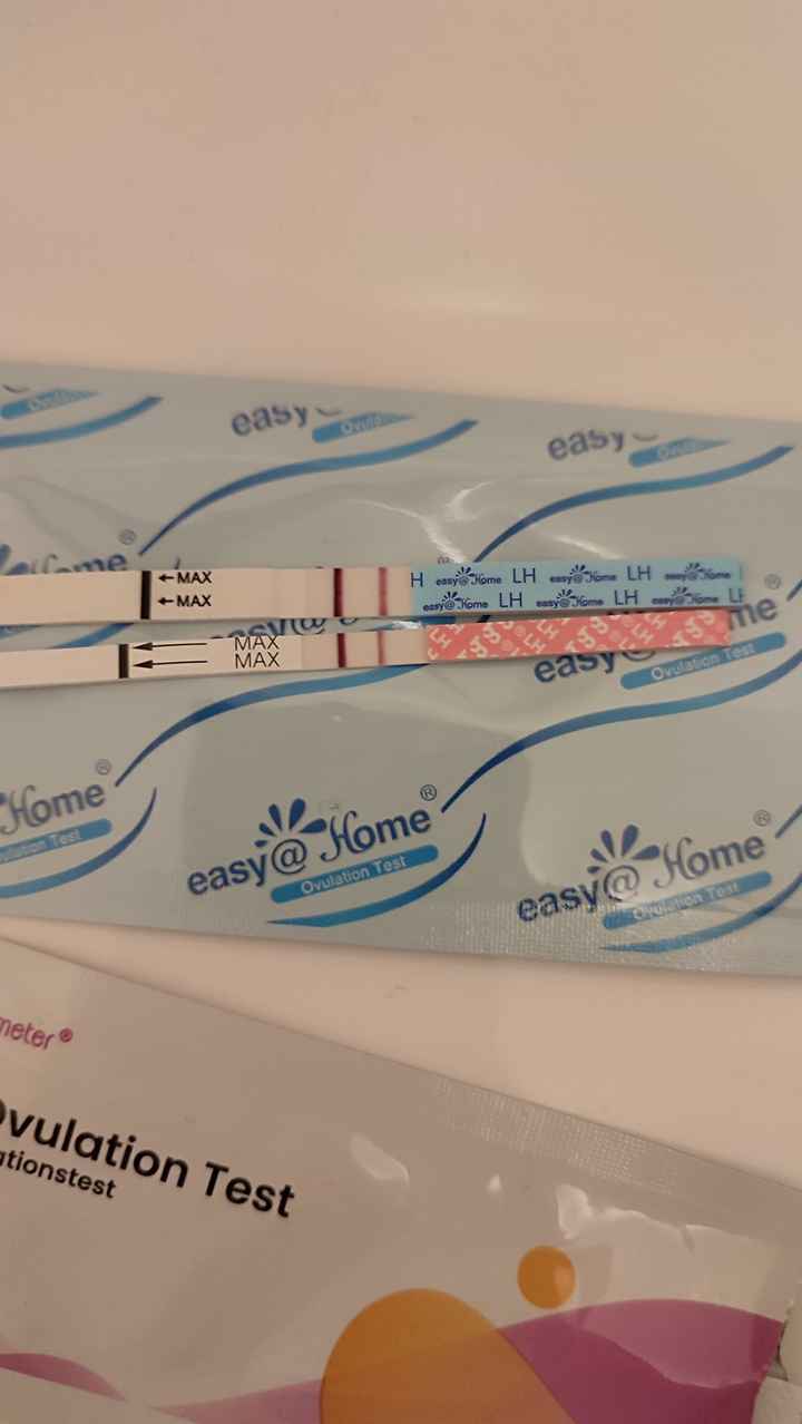 Chi non le aspetta per Dicembre 2024 🎄🍀♥️ - 1