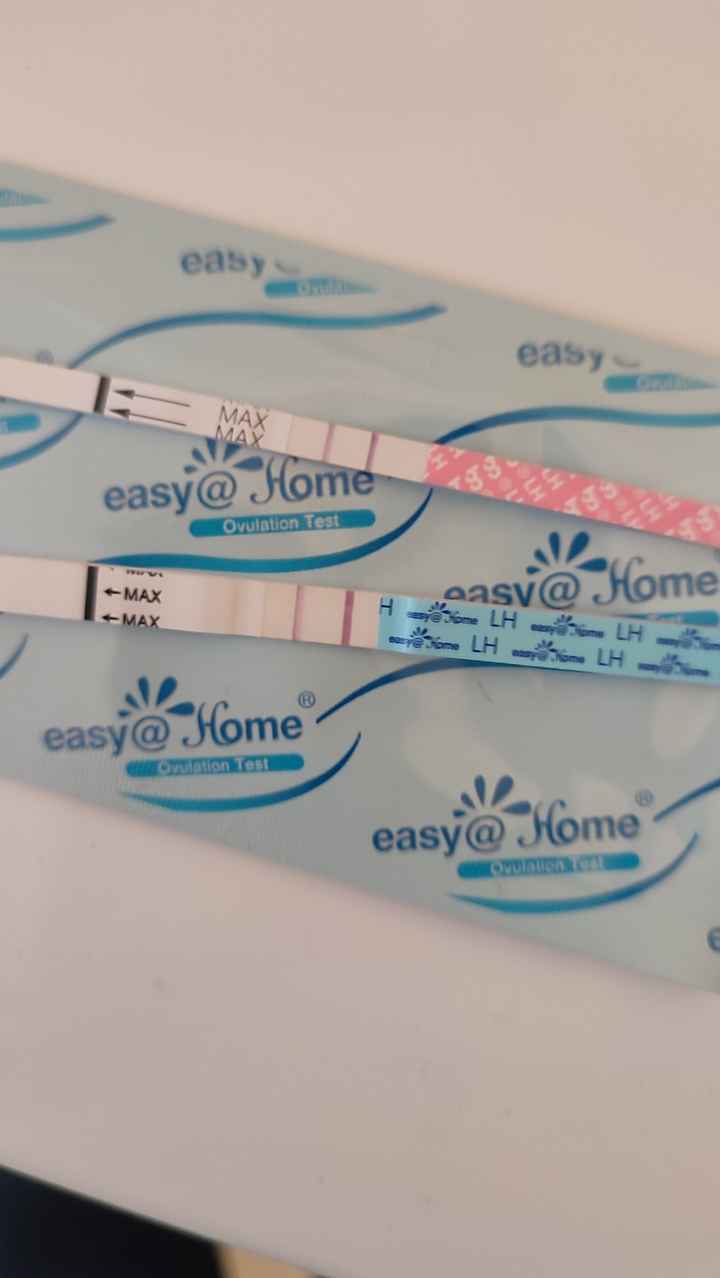 Chi non le aspetta per Dicembre 2024 🎄🍀♥️ - 1