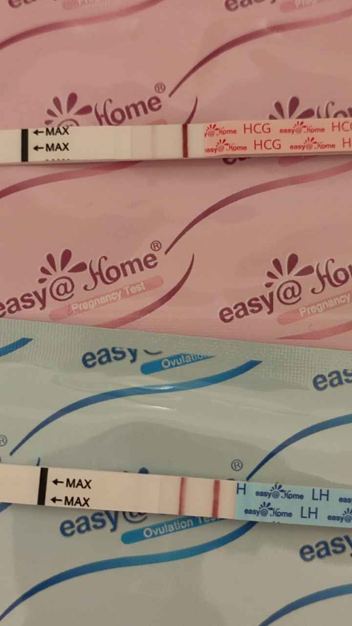 Chi non le aspetta per Dicembre 2024 🎄🍀♥️ - 1