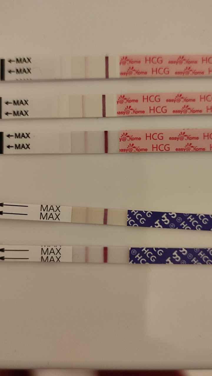 Chi non le aspetta per Dicembre 2024 🎄🍀♥️ - 1