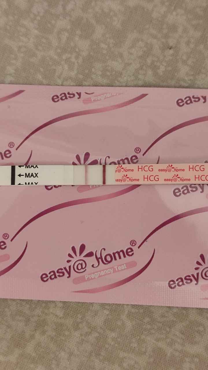 Chi non le aspetta per Dicembre 2024 🎄🍀♥️ - 1