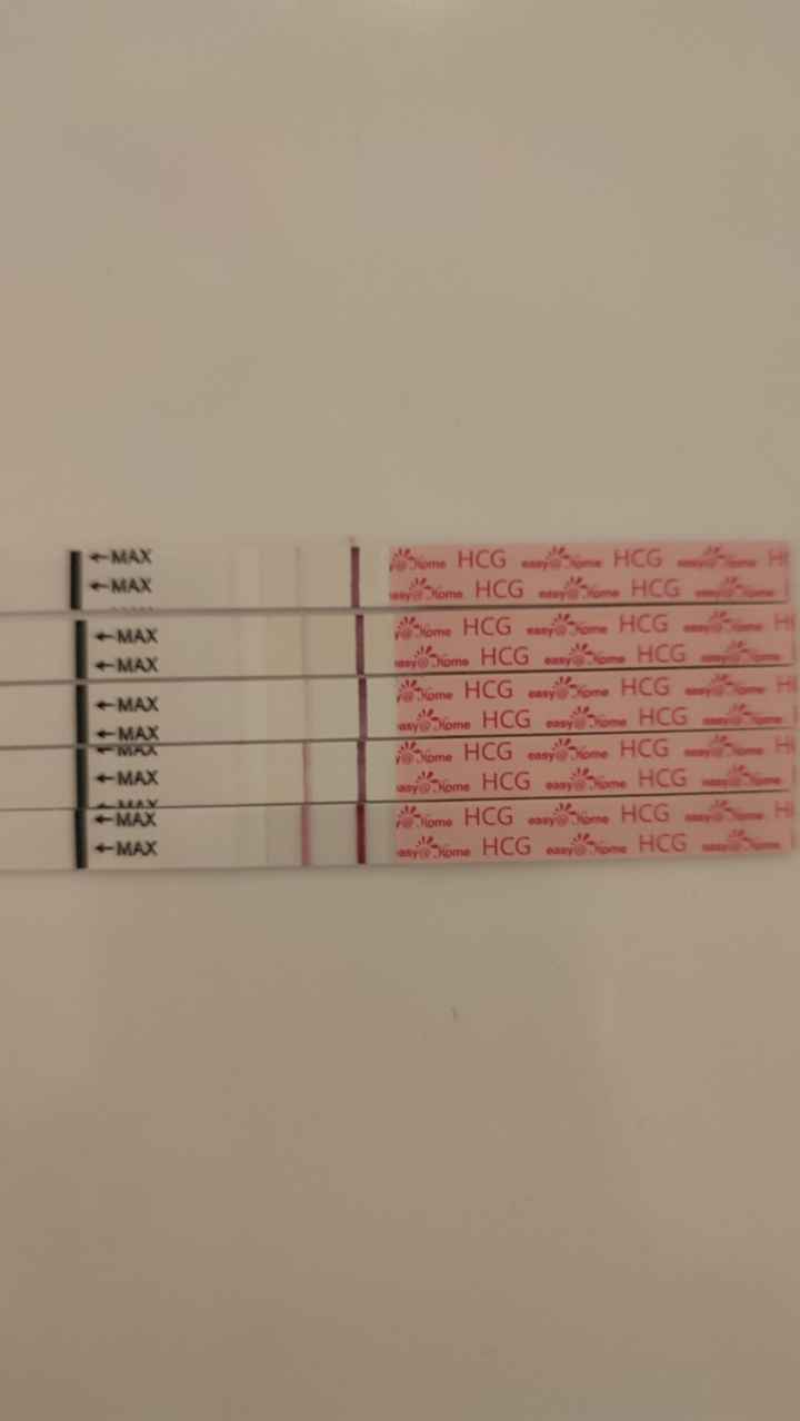 Chi non le aspetta per Dicembre 2024 🎄🍀♥️ - 2