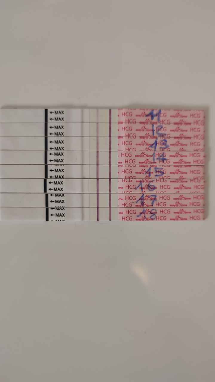 Future mamme Ottobre/Novembre/Dicembre 2025❤️ - 1