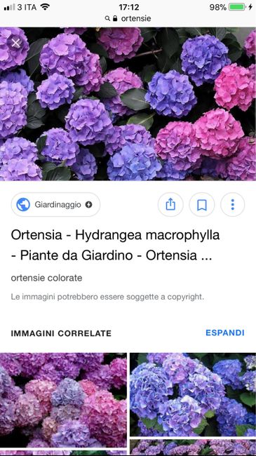 Alla ricerca del tema! - 3