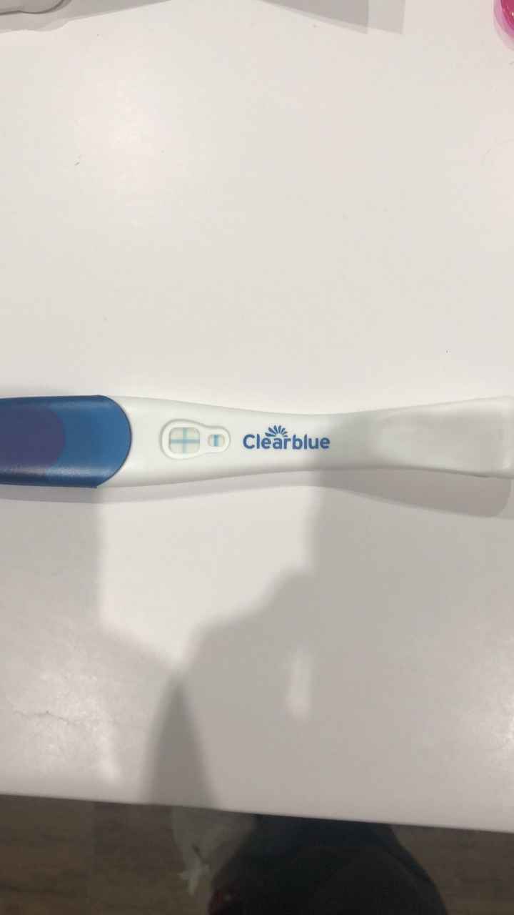 Marzo 2019 - Aspiranti pancine - 2