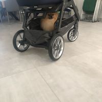 Future mamme di novembre - 1