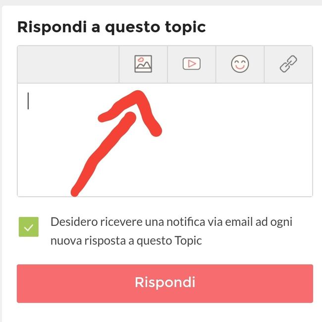 Stick canadesi. Si comincia a vedere la linea! 1