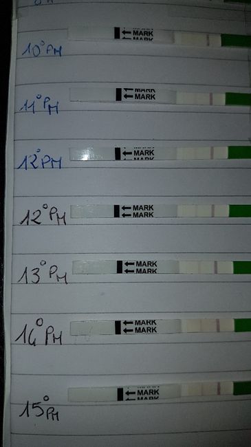 Foto test canadesi 1