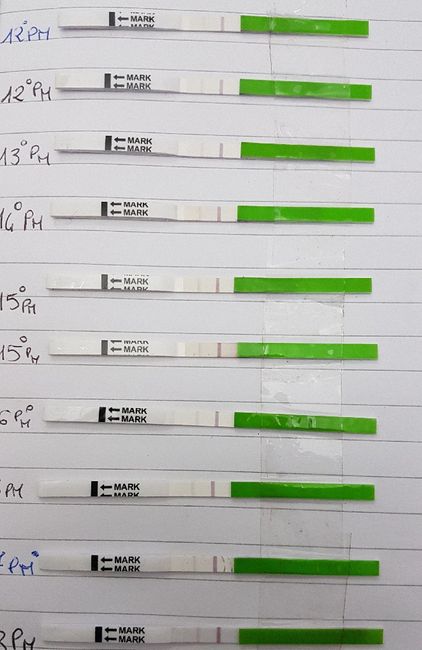 Foto test canadesi 5