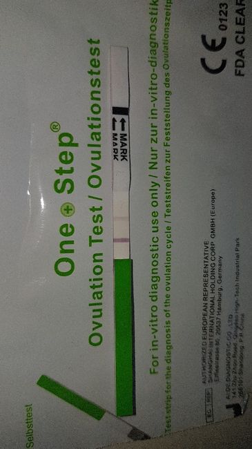 Chi non le aspetta a marzo!! - 1