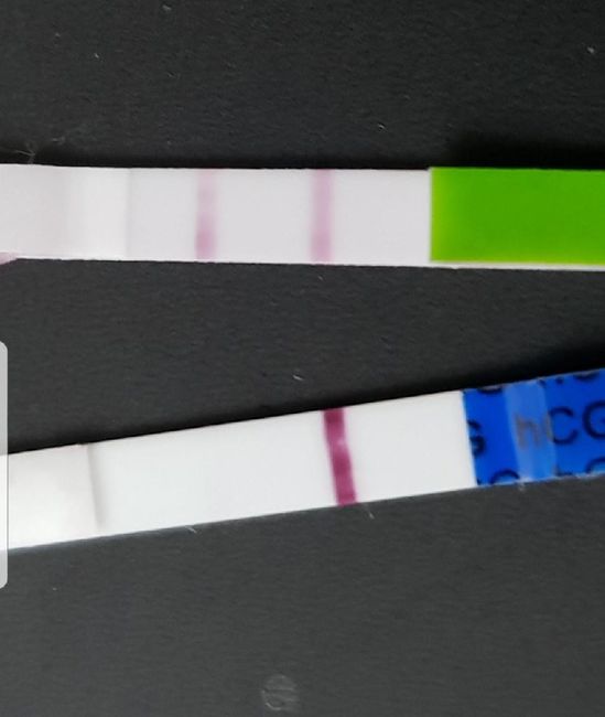 Ho bisogno del vostro aiuto!!! - 1