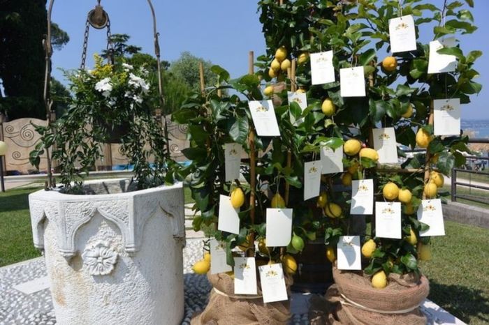 Tema Limoni 🍋 1