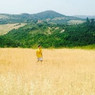 Matteo