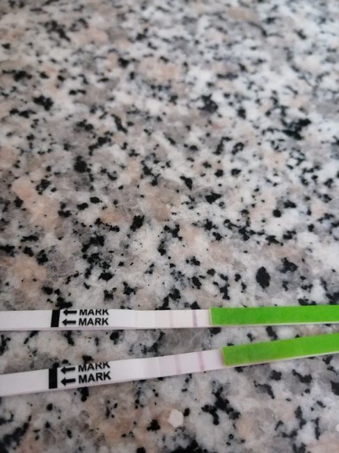 Chi non le aspetta per ottobre 2019 1