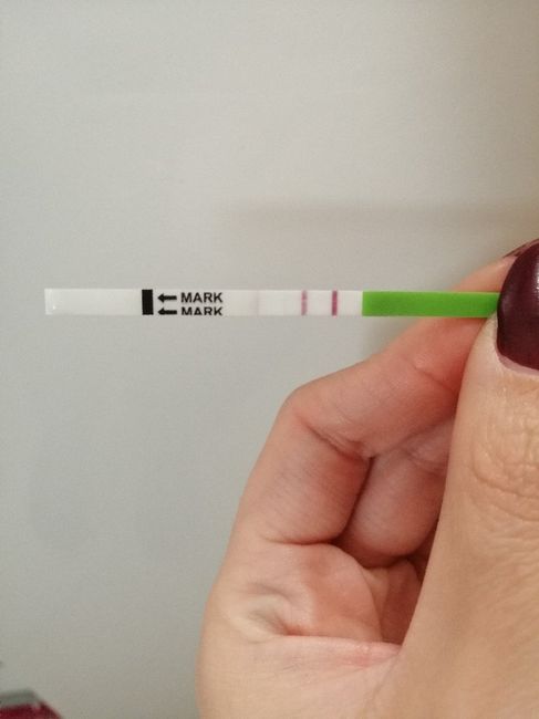 Chi non le aspetta per novembre 2019 - 1